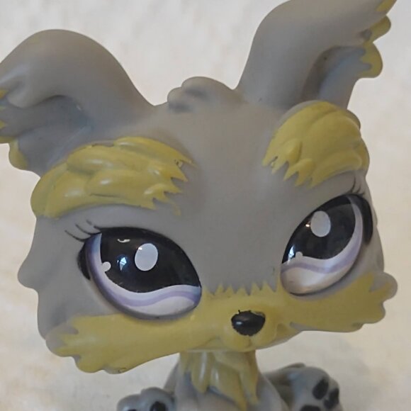 Vintage Littlest Pet Shop #883 Yorkie G2 with Original Frisbee - Picture 6 of 13